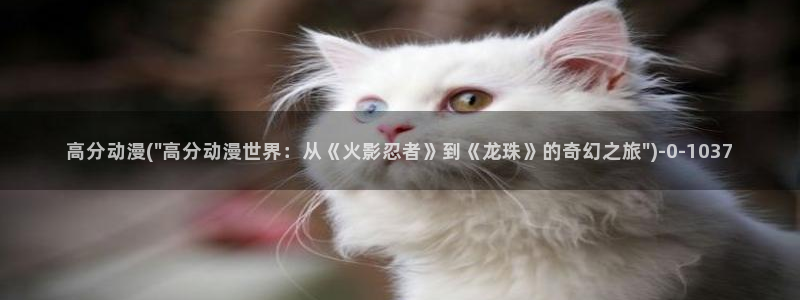 同性动漫