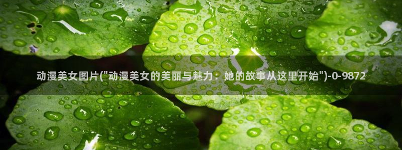 风之动漫：动漫美女图片(\