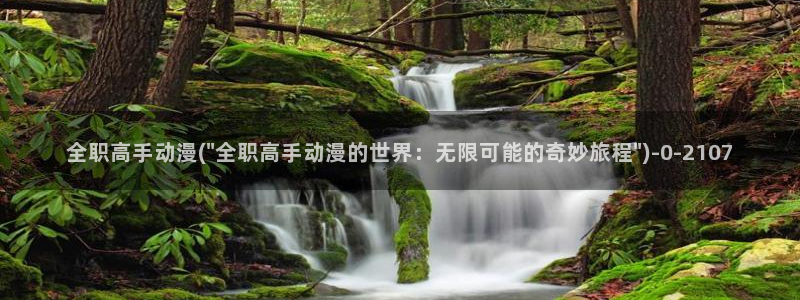 成年动漫：全职高手动漫(\