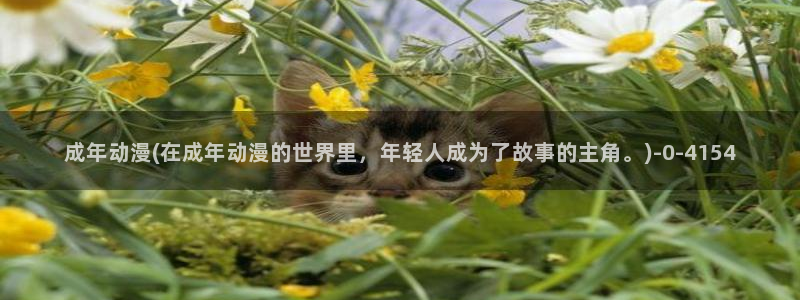 全职高手动漫